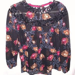 Knox rose sheer blouse with sheer lace neckline